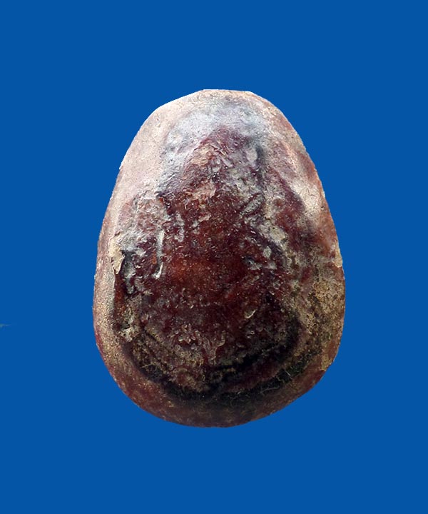 @^_^@พระปิดตาเคลือบ ไม่ทราบที่@^_^@