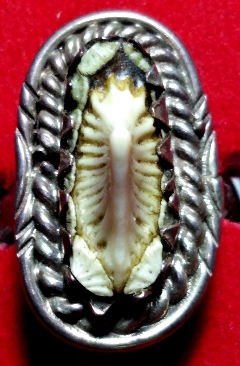 แหวนเงินหัวกระเบนท้องน้ำป้องกันคุณไสย์ลมเพลมพัด ราคาถูก