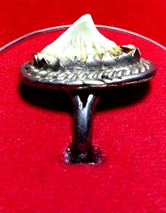 แหวนเงินหัวกระเบนท้องน้ำป้องกันคุณไสย์ลมเพลมพัด ราคาถูก