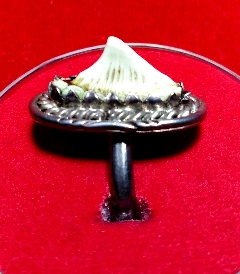 แหวนเงินหัวกระเบนท้องน้ำป้องกันคุณไสย์ลมเพลมพัด ราคาถูก