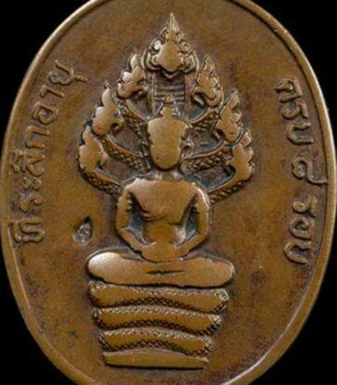 เหรียญพระนาคปรกหลวงปู่ทิม รุ่นแปดรอบ เนื้อทองแดง ปี2518 วัดละหารไร่ จ.ระยอง มาพร้อมบัตรรับรองความแท้