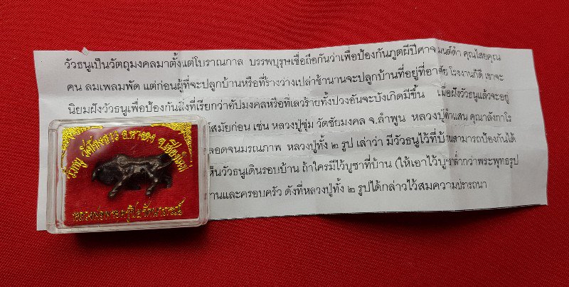 วัวธนู วัดโขงขาว  หลวงพ่อฤาษีลิงดำอธิษฐานจิต เคาะเดียว