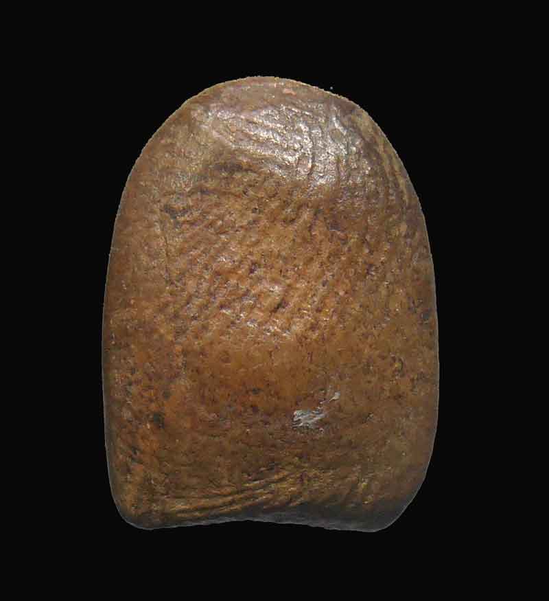 พระซุ้มกอ กรุลานดอกไม้ สุโขทัย