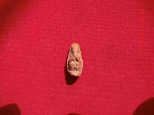 กรุมารดุดรกพ่อแช่มปี15