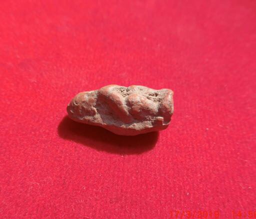 กรุมารดุดรกพ่อแช่มปี15