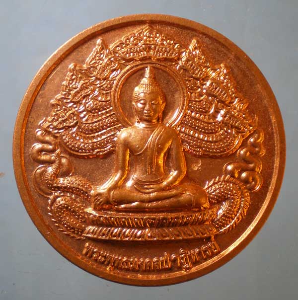 เหรียญพระพุทธมงคลปาฏิหารย์ ปี53 หลวงปู่เนย วัดป่าโนนแสนคำ สกลนคร