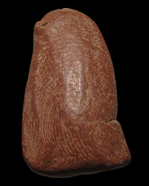 พระรอด หลวงพ่อกวย วัดโฆสิตาราม จ.ชัยนาท