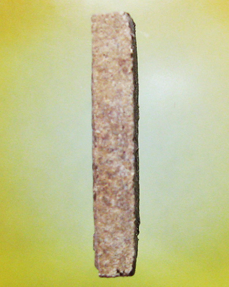 หลวงพ่อเปิ่น ฐิตคุโณ วัดบางพระ จ.นครปฐม