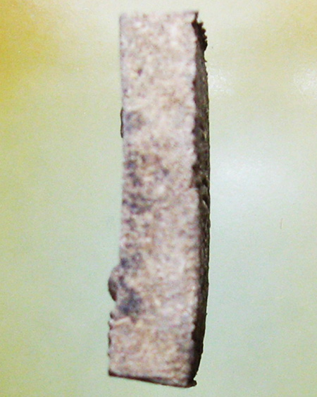 หลวงพ่อเปิ่น ฐิตคุโณ วัดบางพระ จ.นครปฐม