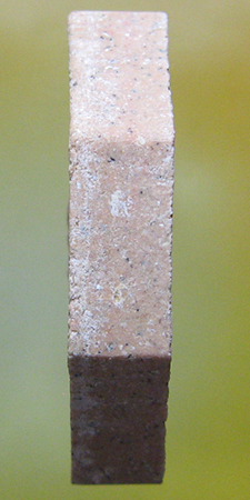 หลวงพ่อสาคร มนุญโญ วัดหนองกรับ อ.บ้านค่าย จ.ระยอง( ศิษย์เอกหลวงปู่ทิม )