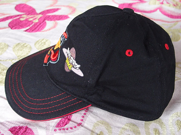 หมวก Angry Bird Space สวยๆ ซื้อจาก นาโงย่า ญี่ปุ่นครับ