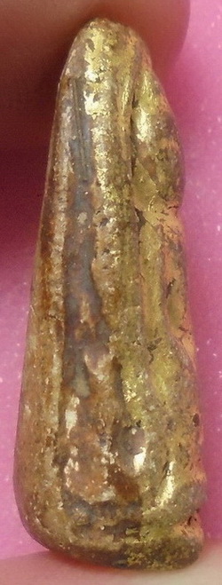 พระขรัวอีโต้ วัดเลียบ 