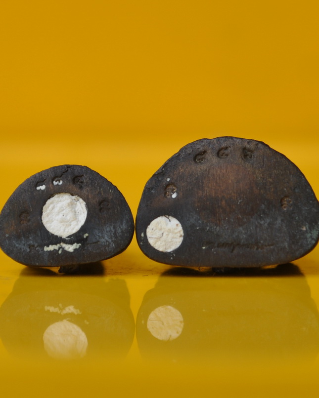 พระกริ่ง-พระชัยวัฒน์ไพรีพินาศ รุ่น นวฤทธิ์โภคทรัพย์ อุดผงจิตรลดาใต้ฐาน