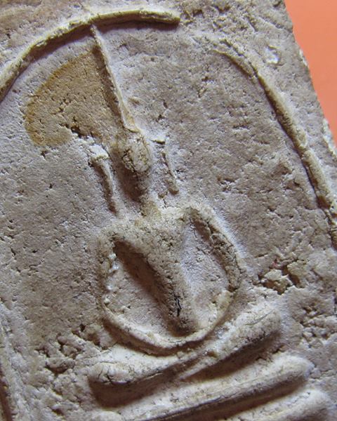 สมเด็จหลวงปู่นาค วัดระฆัง พิมพ์อกตัน