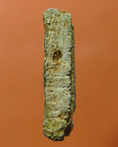 สมเด็จหลวงปู่นาค วัดระฆัง พิมพ์อกตัน