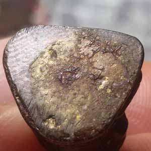 พระรูปหล่อหลวงพ่อปาน วัดบางนมโค