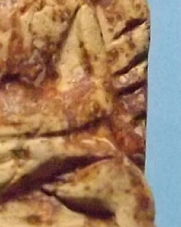 พระรอดกรุหนองตอง(เวียงมะโน)วัดพระเจ้าเหลื้อม อ.หางดง จ.เชียงใหม่