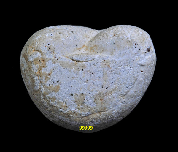 พระปิดตาผงชินบัญชร แช่น้ำมนต์ (ปิดตาเงินล้าน) พ่อท่านไข่ วัดลำนาว นครศรีธรรมราช ปี 2547