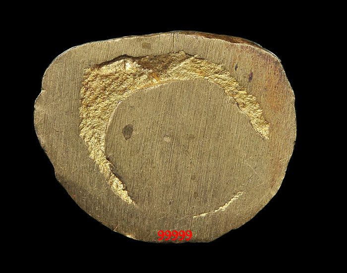 หลวงพ่อทวด บัวรอบ