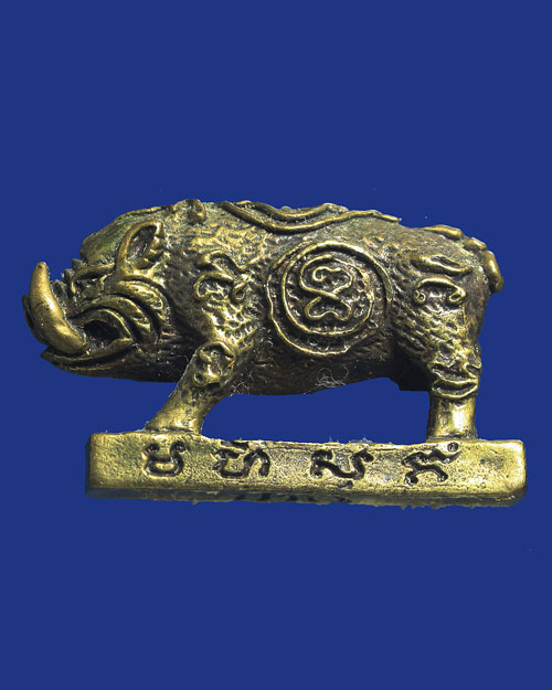 พญาหมูเขี้ยวตัน หลวงปู่แผ้ว ปวโร วัดกำแพงแสน 2551 เสกฤกษ์สุริยคราสและจันทคลาสด้วยคาถาเรียกอาการ 32