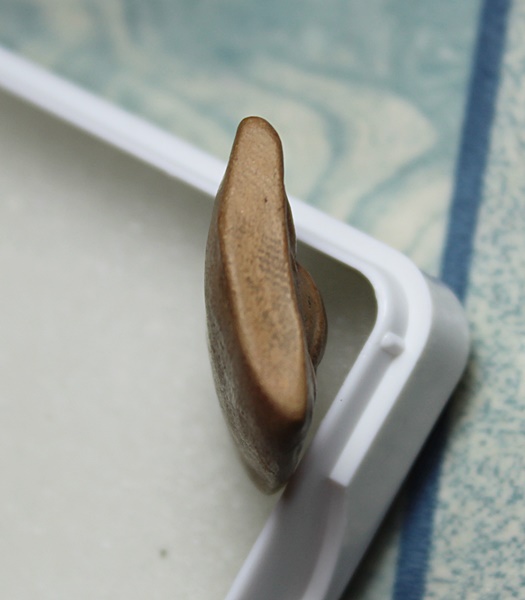 พระสังกัจจาย์ เนื้อดิน ไม่ทราบที่