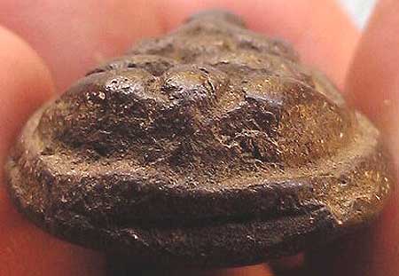 *ปิดตาเนื้อว่าน หลังจารมือ*