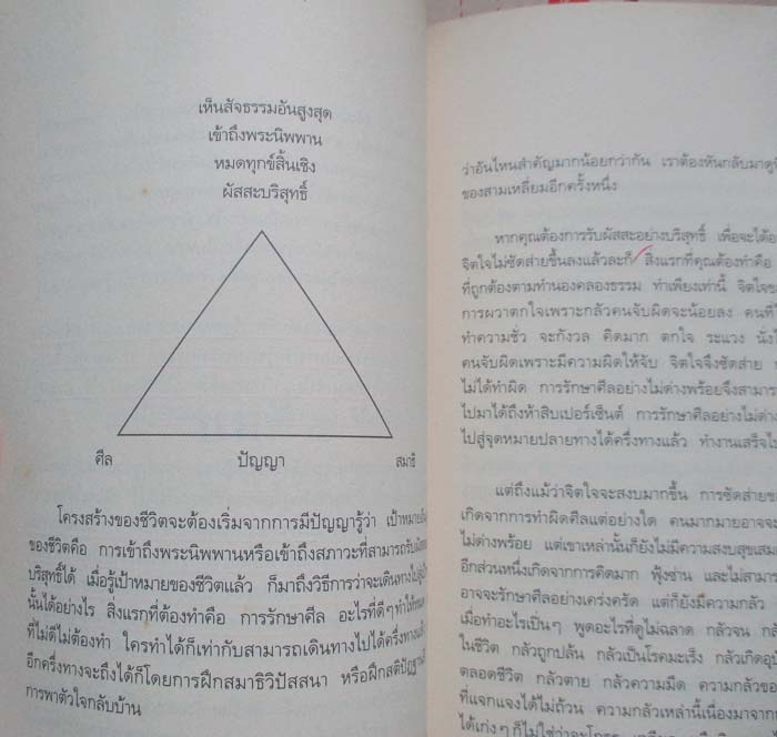 หนังสือใบไม้กำมือเดียว (รู้เท่านี้ก็พอแล้ว)