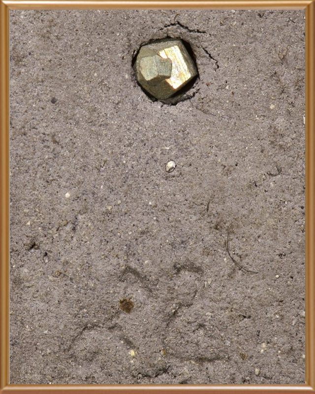 พระหลวงปู่ทวด รุ่น ๕ แชะเนื้อว่าน พิมพ์กรรมการสี่เหลียม หลวงพ่อแดง วัดศรีมหาโพธิ์ 