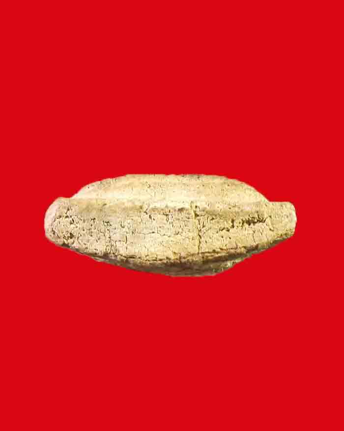 พระหลวงปู่ทวด วัดนวนประดิษฐ์ ฯ จ.ชุมพร  ปี 05 พิมพ์กรรมการ หายาก