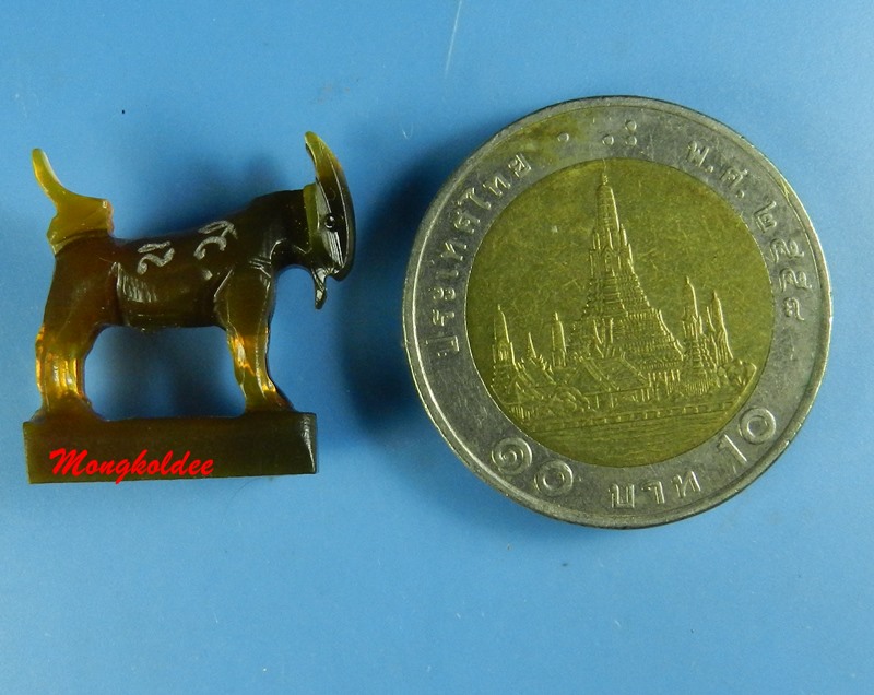 แพะมหาเสน่ห์ แกะจากเขาควาย สีน้ำผึ้งเข้ม หลวงพ่อสิน วัดละหารใหญ่ จ.ระยอง No.32