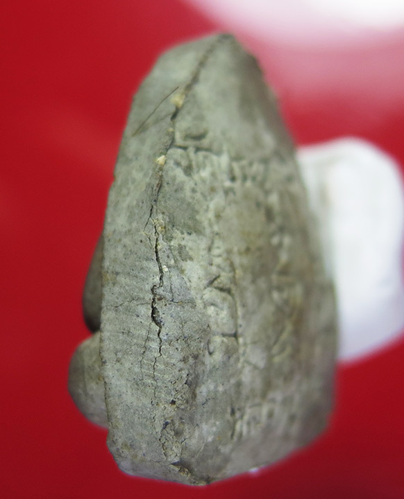 @@เกศาหลายเส้น..พระปิดตานะทะนะ เนื้อผงใบลาน หลวงปู่โต๊ะ ปี 2522 บรรจุตะกรุด 2 ดอก คมชัด