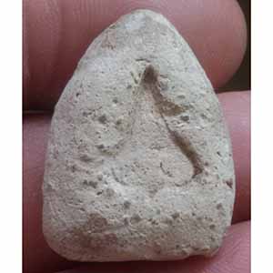 พระปิดตา หลังยันต์ ไม่ทราบที่ครับ