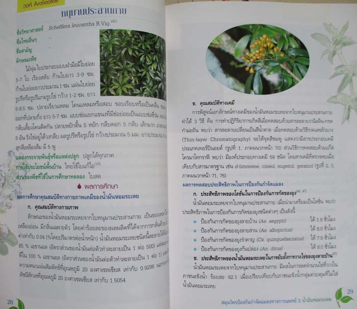 หนังสือสมุนไพรกำจัดแมลงทางการแพทย์ 2น้ำมันหอมระเหย