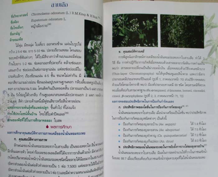 หนังสือสมุนไพรกำจัดแมลงทางการแพทย์ 2น้ำมันหอมระเหย