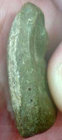 *เม็ดน้อยหน่า ผงน้ำมัน หลวงพ่อกวย วัดโฆษิตาราม ชัยนาท*