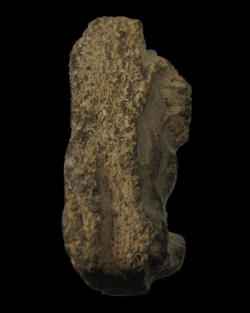 พระเชตุพน (พระร่วงนั่ง) เนื้อดิน  จ.สุโขทัย ตลับพร้อมใช้