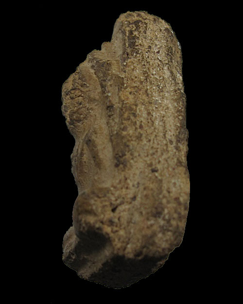 พระเชตุพน (พระร่วงนั่ง) เนื้อดิน  จ.สุโขทัย ตลับพร้อมใช้