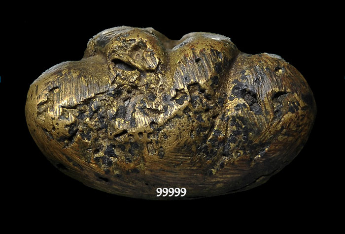 พระปิดตา แต่ง ตะไป