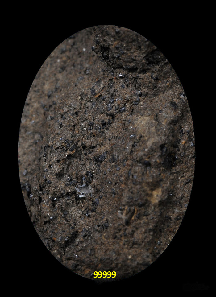 หลวงพ่อทวด วัดแจ้ง พิมพ์ใหญ่ หลังยันต์ ปี 2506