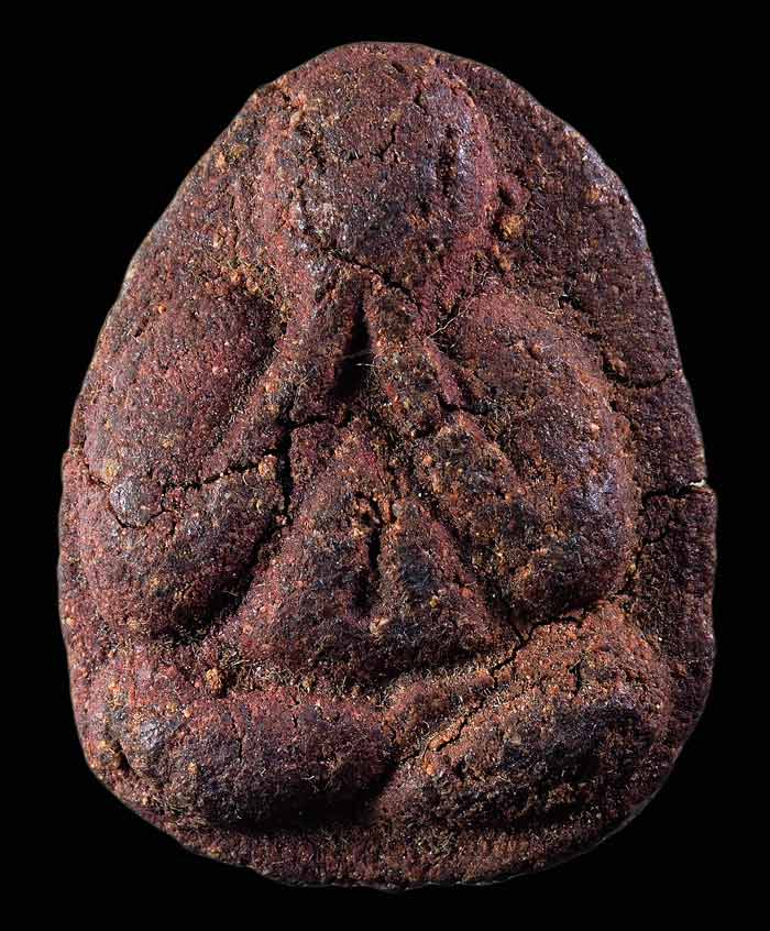  พระปิดตาพิมพ์ใหญ่ เนื้อว่านแดง หลวงพ่อจวน วัดหนองสุ่ม สิงห์บุรี ปี ๑๙ 