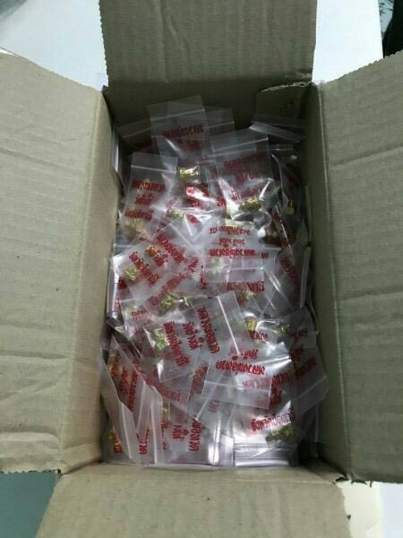 หลวงปู่ทวด พ่อท่านนอง วัดทรายขาว เนื้อทองทิพย์ ปี39 เคาะเดียว5องค์ 