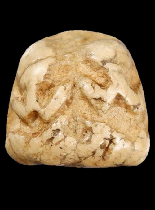 พระปิดตาพิมพ์ 2 เกลอ เนื้อผงน้ำมัน วัดอัมพวา กรุงเทพ-ธนบุรี ประกวดติดที่1