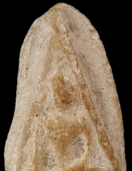 พระนางกรุเขาพระศรี เนื้อดิน จ.สุโขทัย สภาพดี ดูง่าย