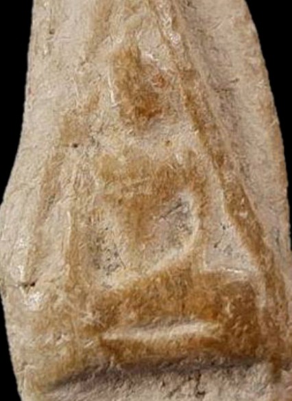 พระนางกรุเขาพระศรี เนื้อดิน จ.สุโขทัย สภาพดี ดูง่าย