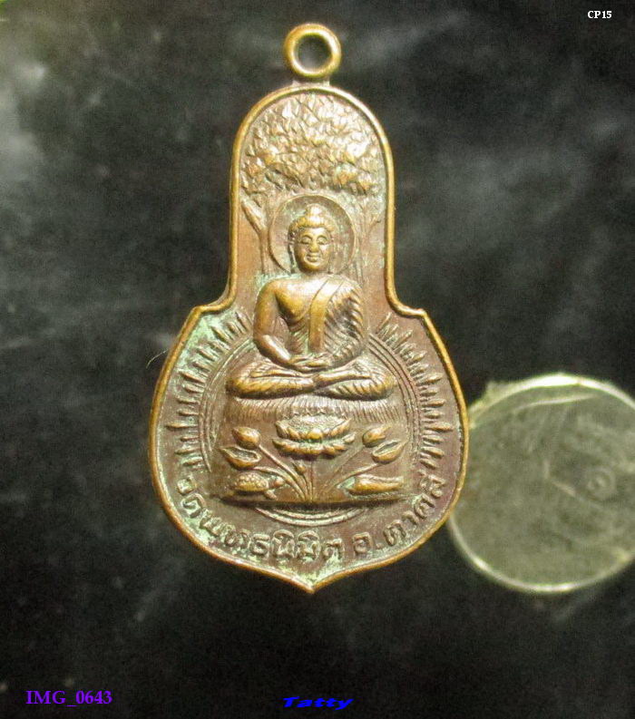 เหรียญพระพุทธ  วัดพุทธนิมิต ตาคลี นครสวรรค์ ปี2523
