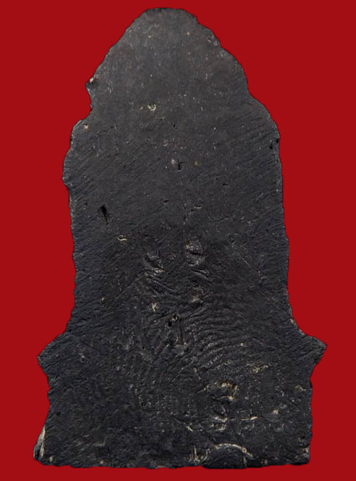 พระโคนสมอ เนื้อดิน กรุวัดค้างคาว จ.ชัยนาท