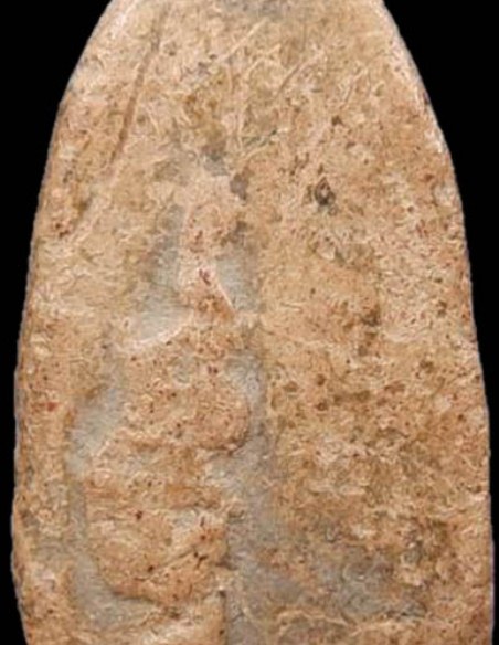 พระกรุแม่นางปลื้ม เนื้อดิน วัดแม่นางปลื้ม จ.อยุธยา พระมีประสพการณ์ดี