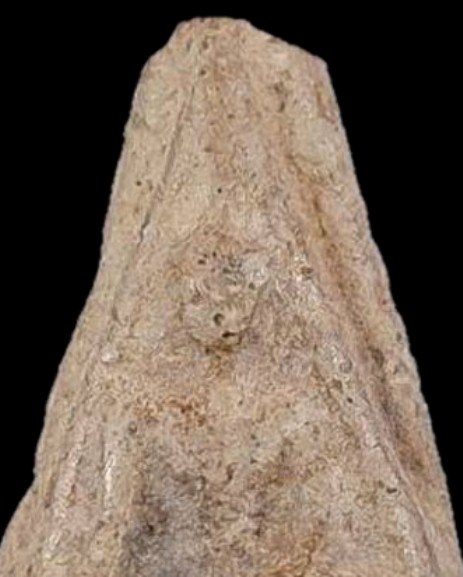 พระนางกรุเขาพระศรี เนื้อดิน จ.สุโขทัย สภาพดี ดูง่าย มาพร้อมบัตรรับรองความแท้