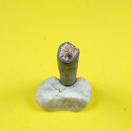 ตะกรุดมหาโจร หลวงพ่อสาคร จ.ระยอง พร้อมซองเดิมๆๆจากวัด