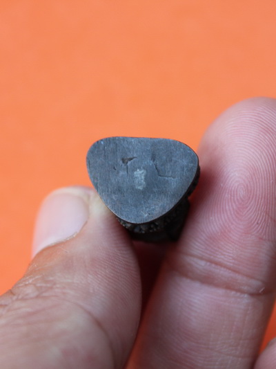 ((เคาะเดียวแดง)) รูปหล่อหลวงปู่ทวด (ไม่ทราบที่)